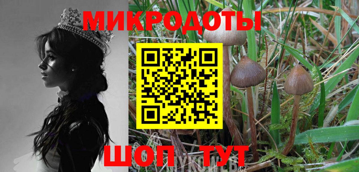 Псилоцибиновые грибы ЛСД Орск