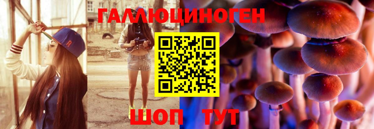 Орск  Галлюциногенные грибы GOLDEN TEACHER  Вход с VPN  Галлюциногенные грибы Magic Shrooms 